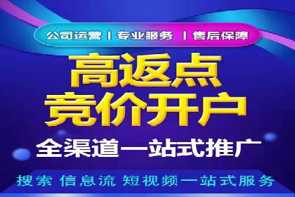 SEM代理服务：提升广告投放效果